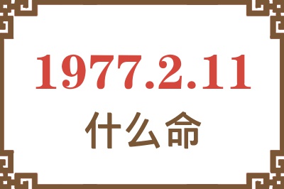 1977年2月11日出生是什么命？