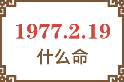 1977年2月19日出生是什么命？