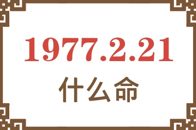 1977年2月21日出生是什么命？