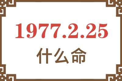 1977年2月25日出生是什么命？