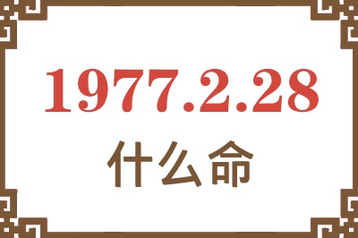 1977年2月28日出生是什么命？