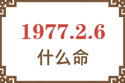 1977年2月6日出生是什么命？