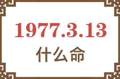 1977年3月13日出生是什么命？