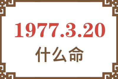 1977年3月20日出生是什么命？