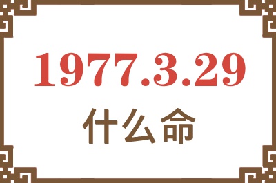 1977年3月29日出生是什么命？