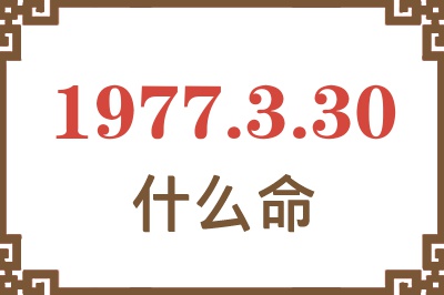 1977年3月30日出生是什么命？