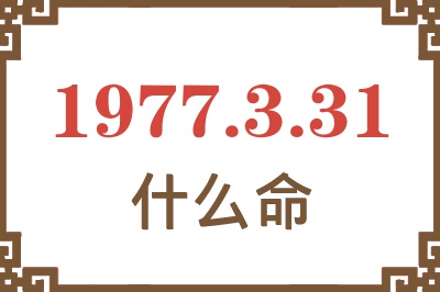 1977年3月31日出生是什么命？