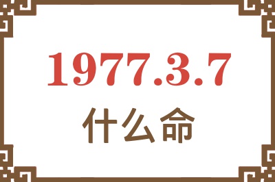 1977年3月7日出生是什么命？