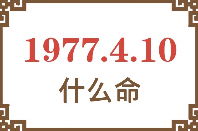 1977年4月10日出生是什么命？