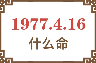 1977年4月16日出生是什么命？