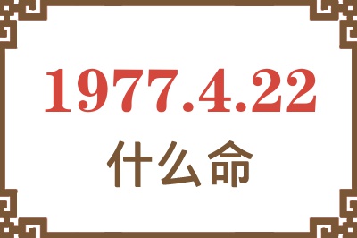 1977年4月22日出生是什么命？