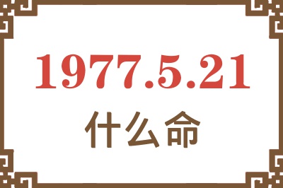 1977年5月21日出生是什么命？