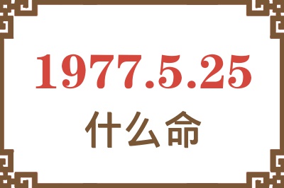 1977年5月25日出生是什么命？