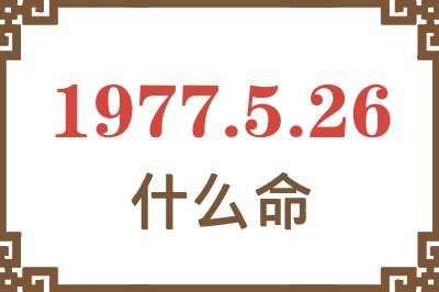 1977年5月26日出生是什么命？