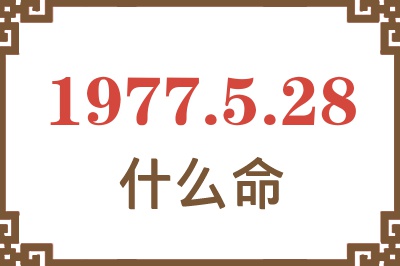 1977年5月28日出生是什么命？