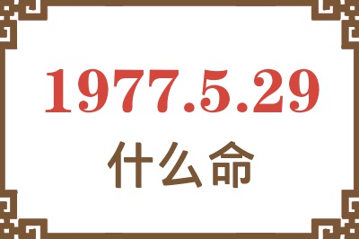 1977年5月29日出生是什么命？