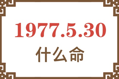 1977年5月30日出生是什么命？