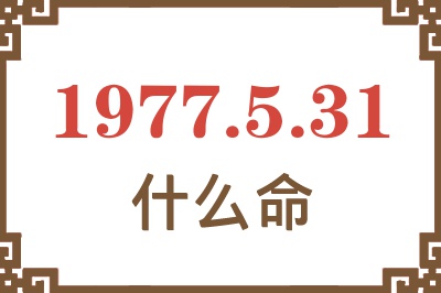 1977年5月31日出生是什么命？