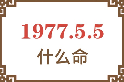 1977年5月5日出生是什么命？