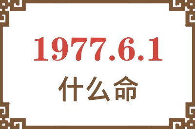 1977年6月1日出生是什么命？