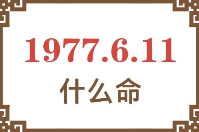 1977年6月11日出生是什么命？