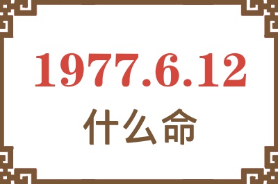 1977年6月12日出生是什么命？