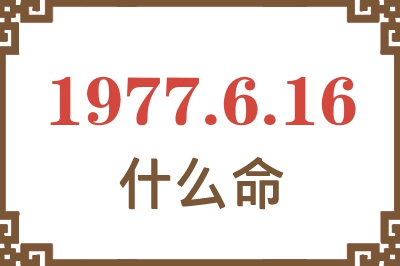 1977年6月16日出生是什么命？