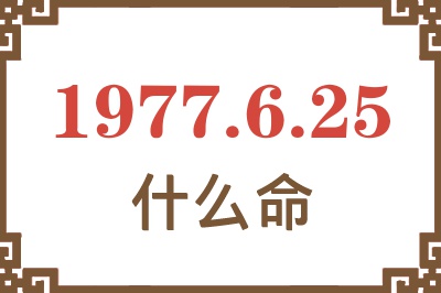 1977年6月25日出生是什么命？