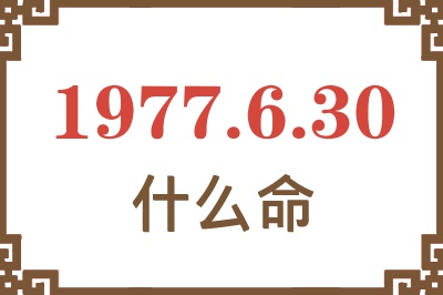 1977年6月30日出生是什么命？