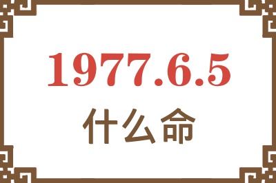 1977年6月5日出生是什么命？