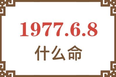 1977年6月8日出生是什么命？