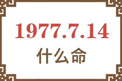 1977年7月14日出生是什么命？