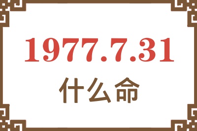 1977年7月31日出生是什么命？