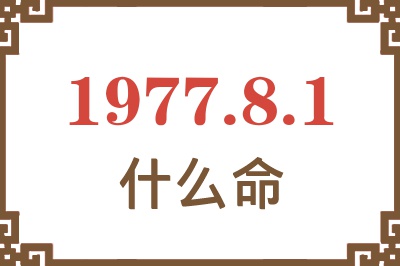 1977年8月1日出生是什么命？