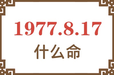 1977年8月17日出生是什么命？