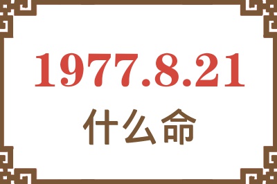 1977年8月21日出生是什么命？