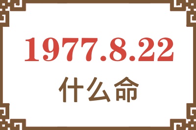 1977年8月22日出生是什么命？