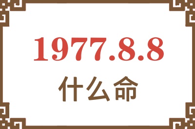 1977年8月8日出生是什么命？