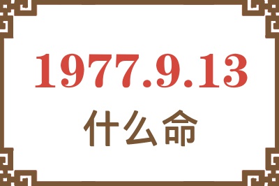 1977年9月13日出生是什么命？