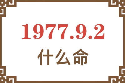 1977年9月2日出生是什么命？