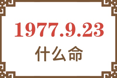 1977年9月23日出生是什么命？