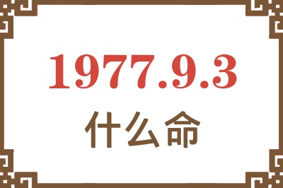 1977年9月3日出生是什么命？