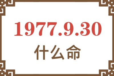 1977年9月30日出生是什么命？