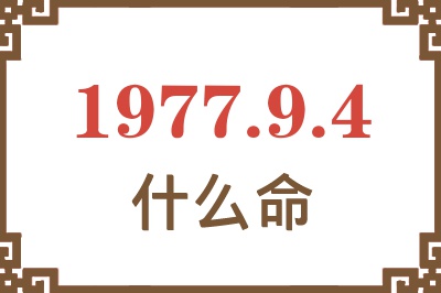 1977年9月4日出生是什么命？