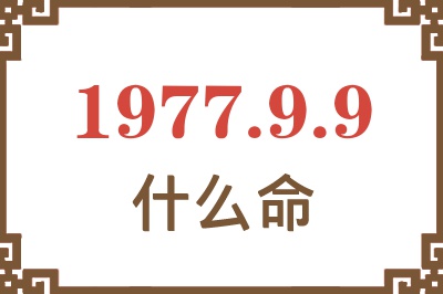 1977年9月9日出生是什么命？