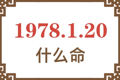 1978年1月20日出生是什么命? 1978年1月20日出生是什么命?