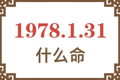 1978年1月31日出生是什么命? 1978年1月31日出生是什么命?