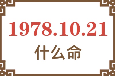 1978年10月21日出生是什么命？