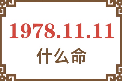 1978年11月11日出生是什么命？