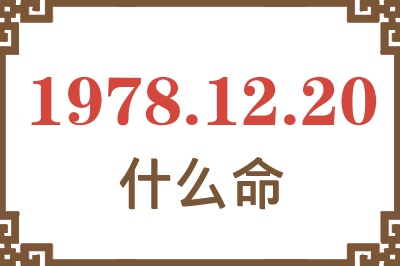 1978年12月20日出生是什么命? 1978年12月20日出生是什么命?